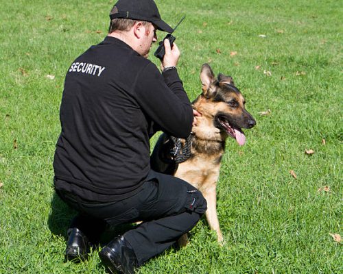 back of a security guard with a dog